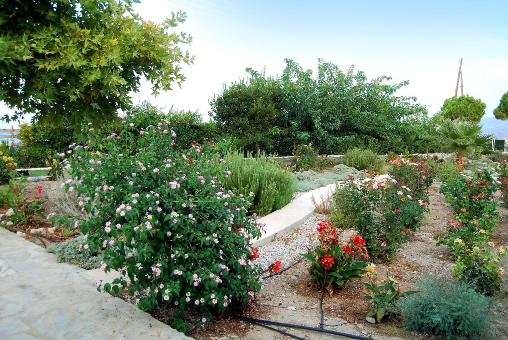 Villa Ακράτα Εξωτερικό φωτογραφία